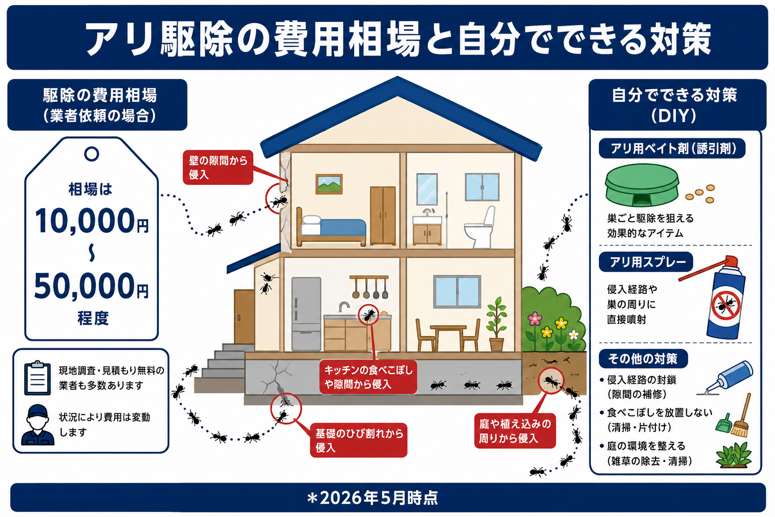 アリ駆除の費用相場と自分でできる対策【家の中・庭のアリ対処法】