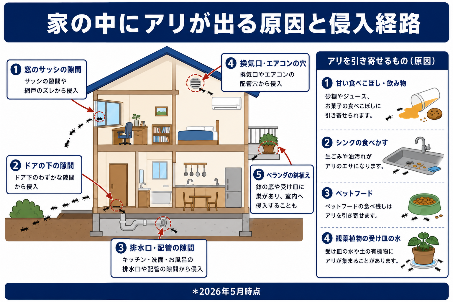 家の中にアリが出る原因
