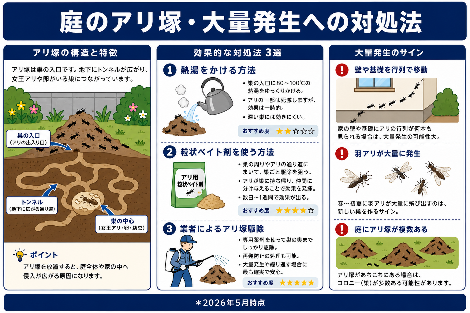 庭のアリ塚への対処法