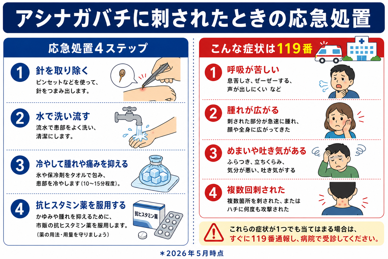 ハチに刺されたときの応急処置