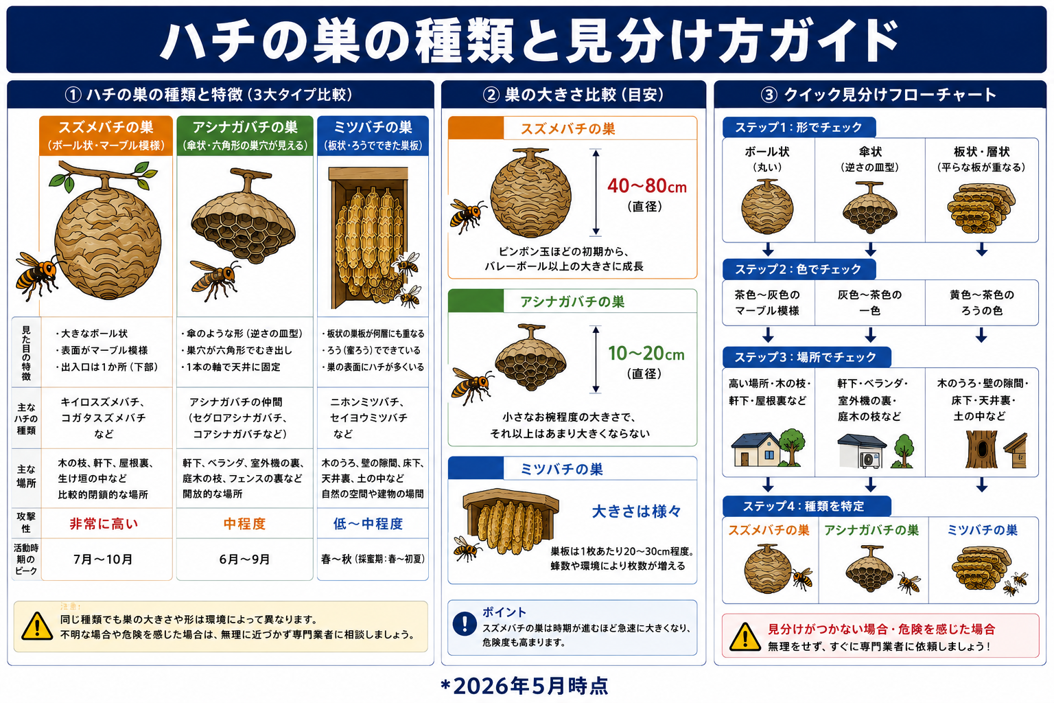 ハチの巣の初期段階の見分け方