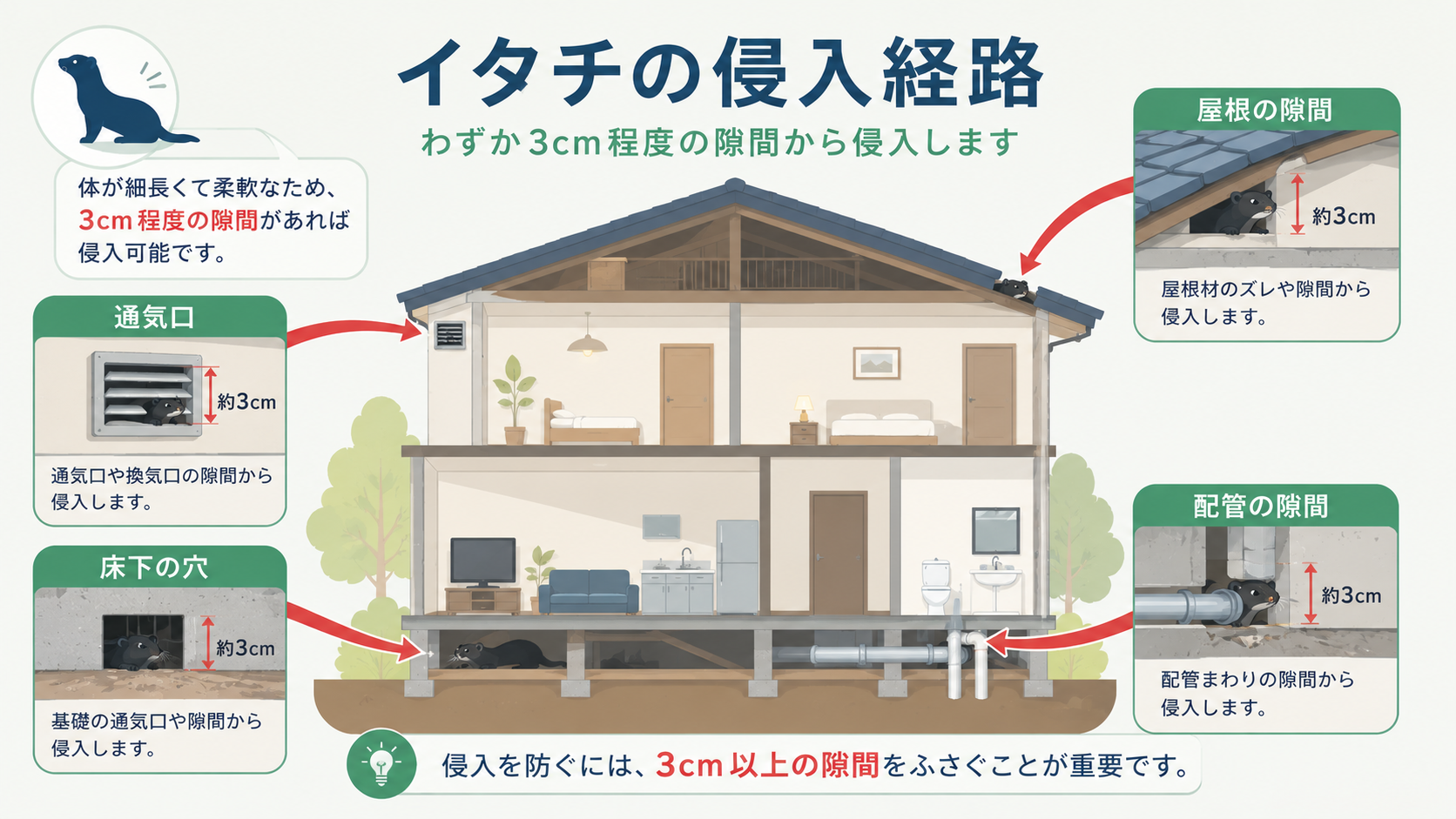 イタチが家に侵入する原因