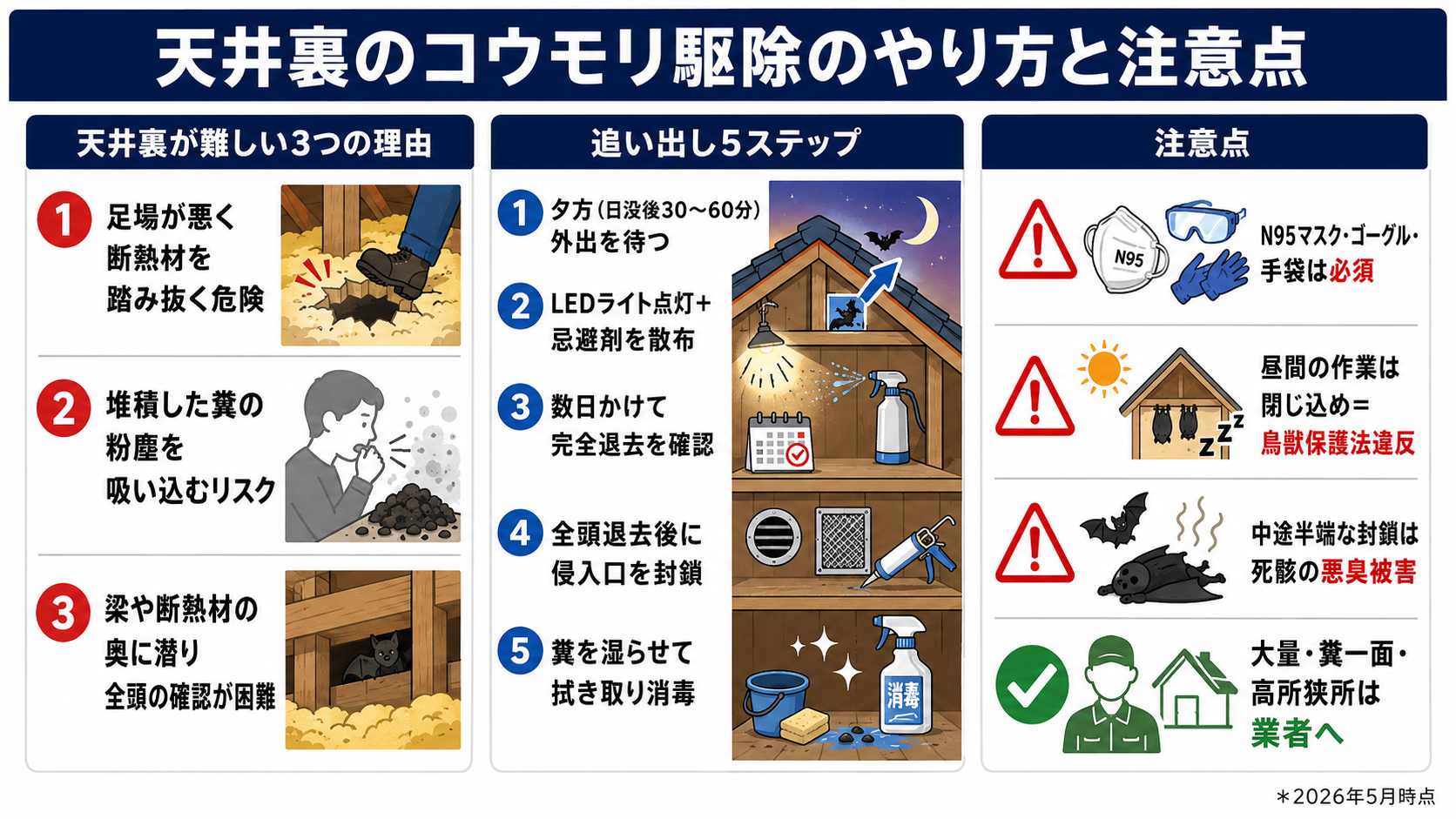 天井裏のコウモリ駆除のやり方と注意点
