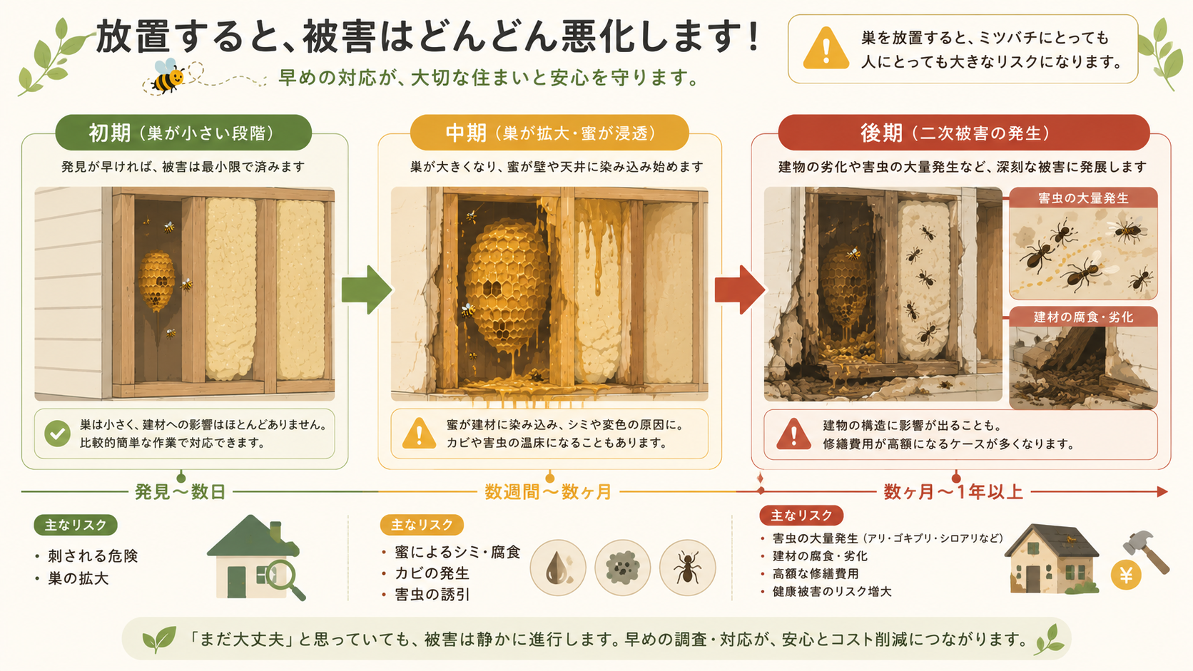 ミツバチの巣を放置した場合のリスクと二次被害
