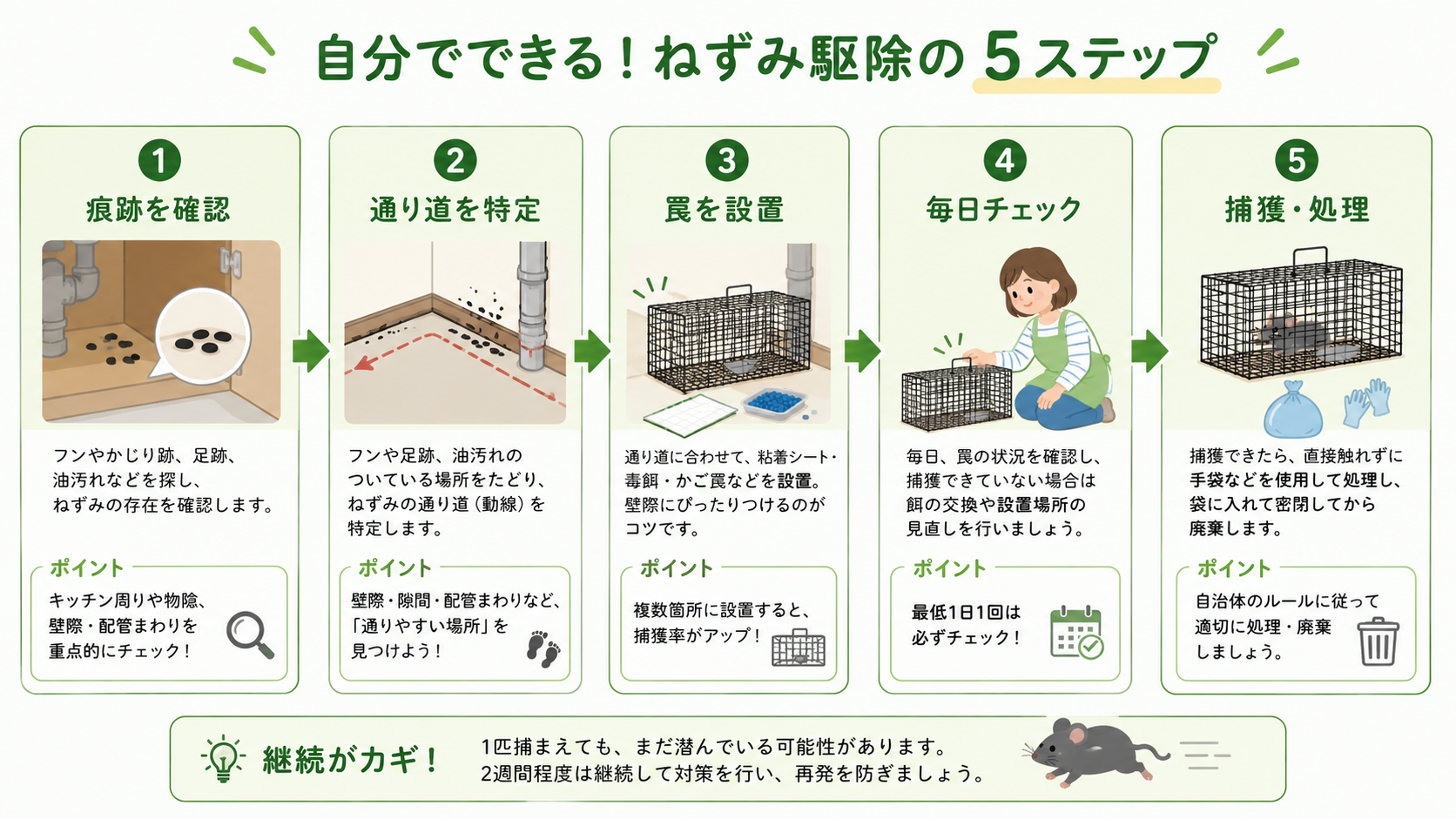 ねずみを自分で駆除する手順（ステップ形式）