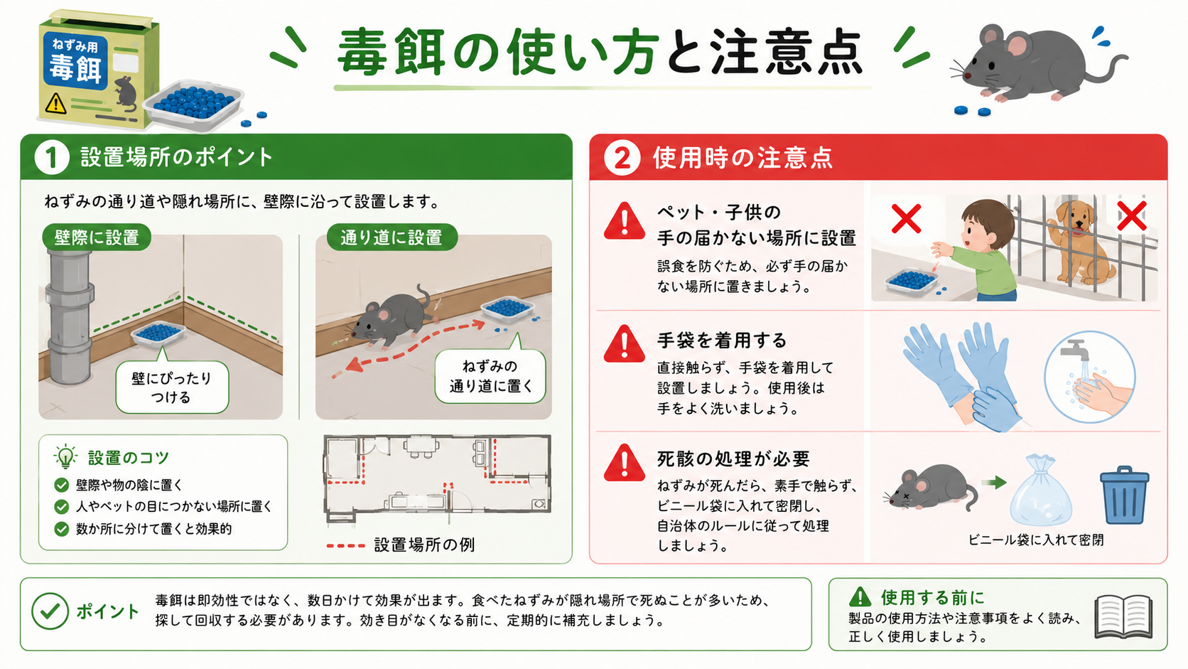 ねずみ毒餌の正しい使い方と注意事項