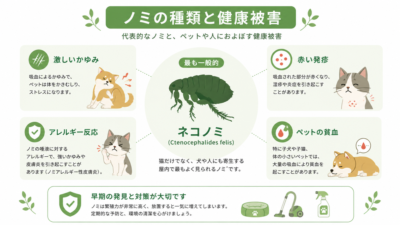 ノミの種類と健康被害
