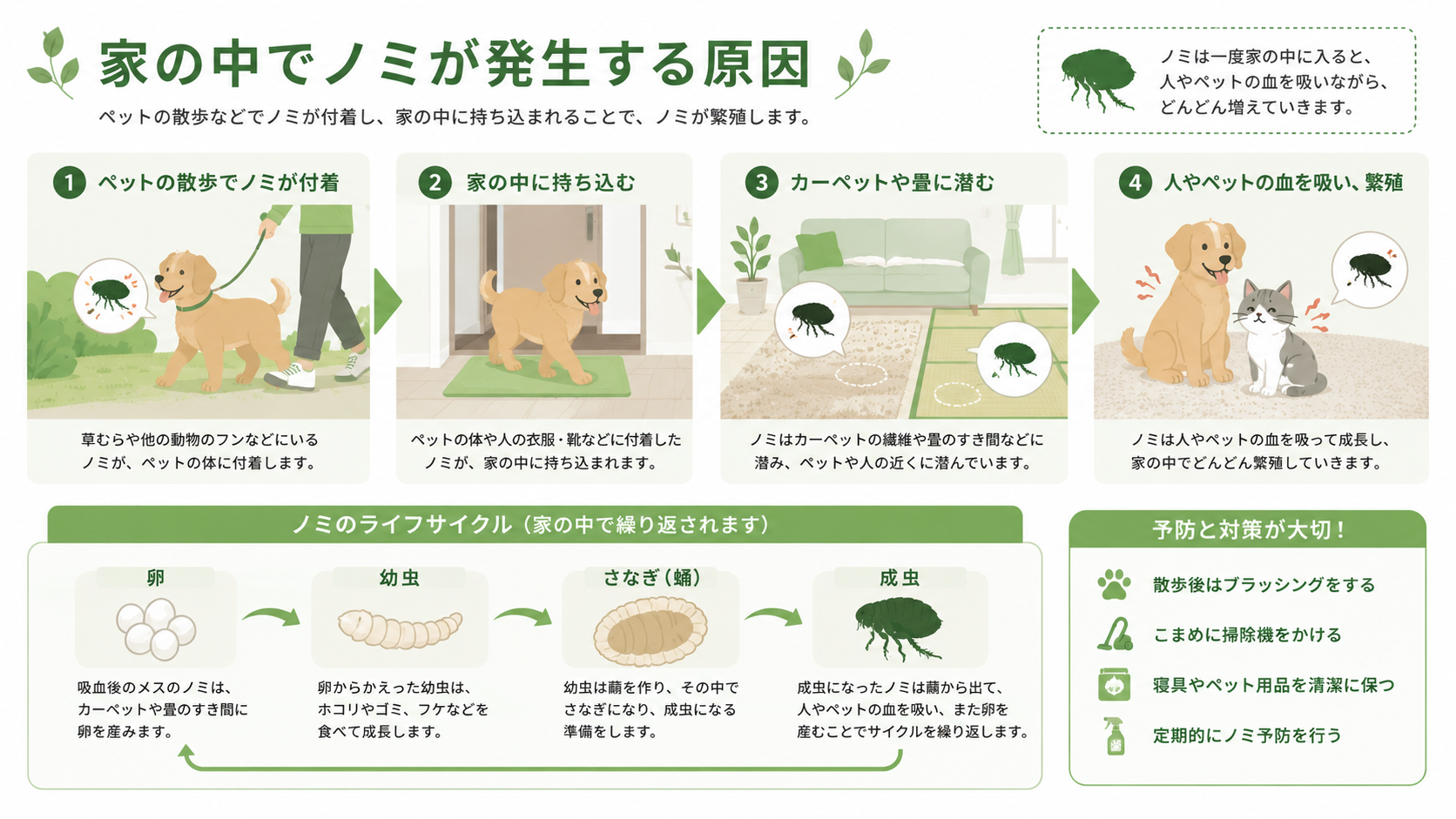 家の中でノミが発生する原因