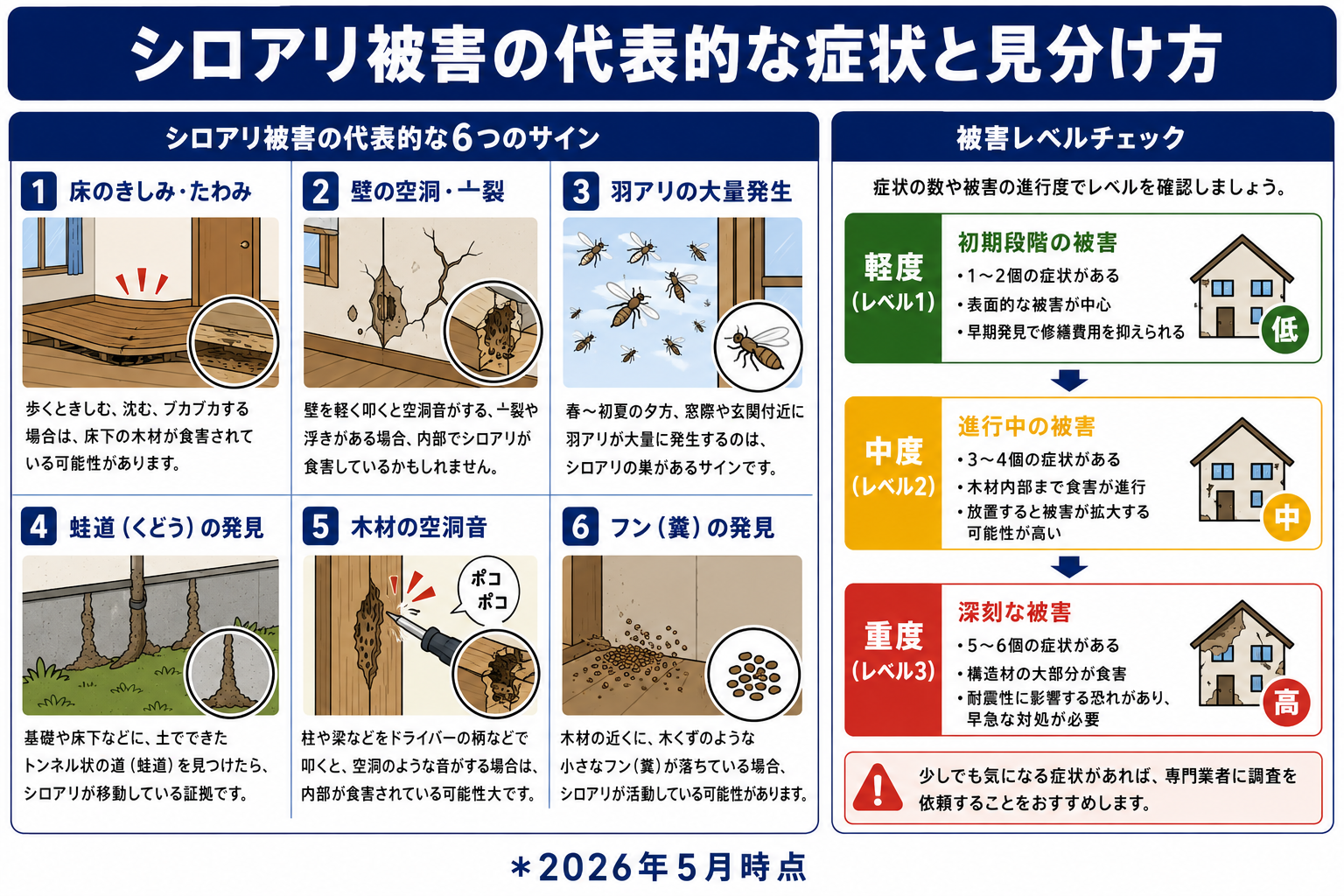 シロアリ対処法の選び方