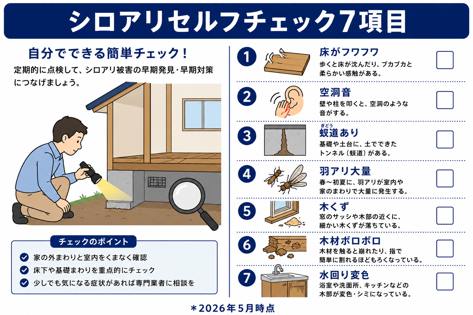 自分でできるシロアリのセルフチェック方法