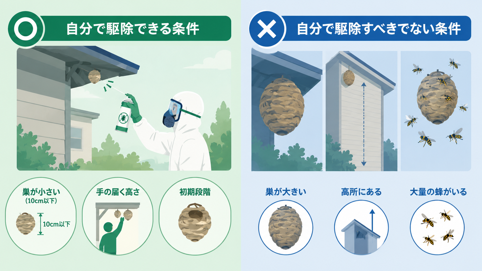 スズメバチを自分で駆除できる条件
