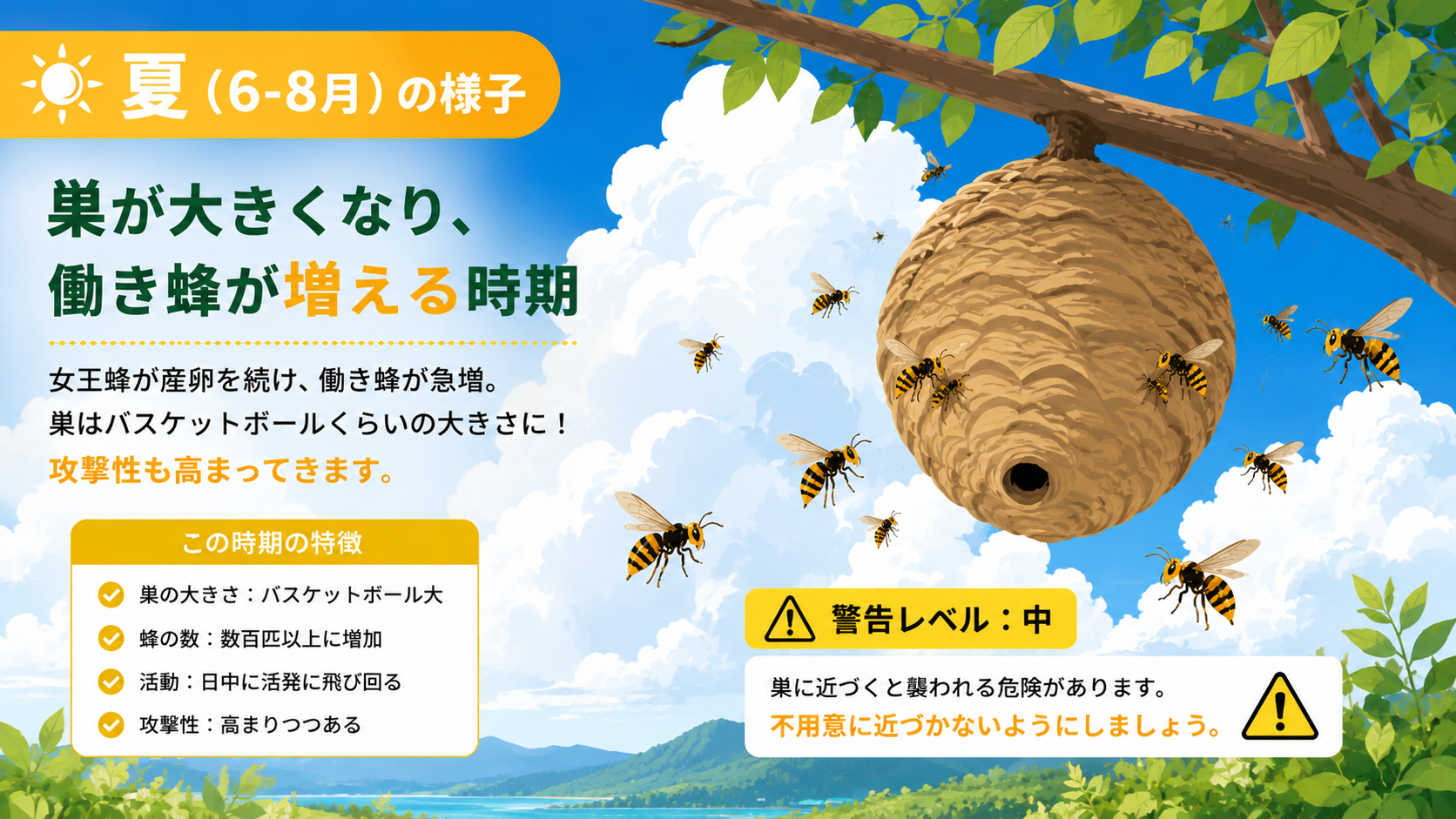 夏のスズメバチ働き蜂の急増期