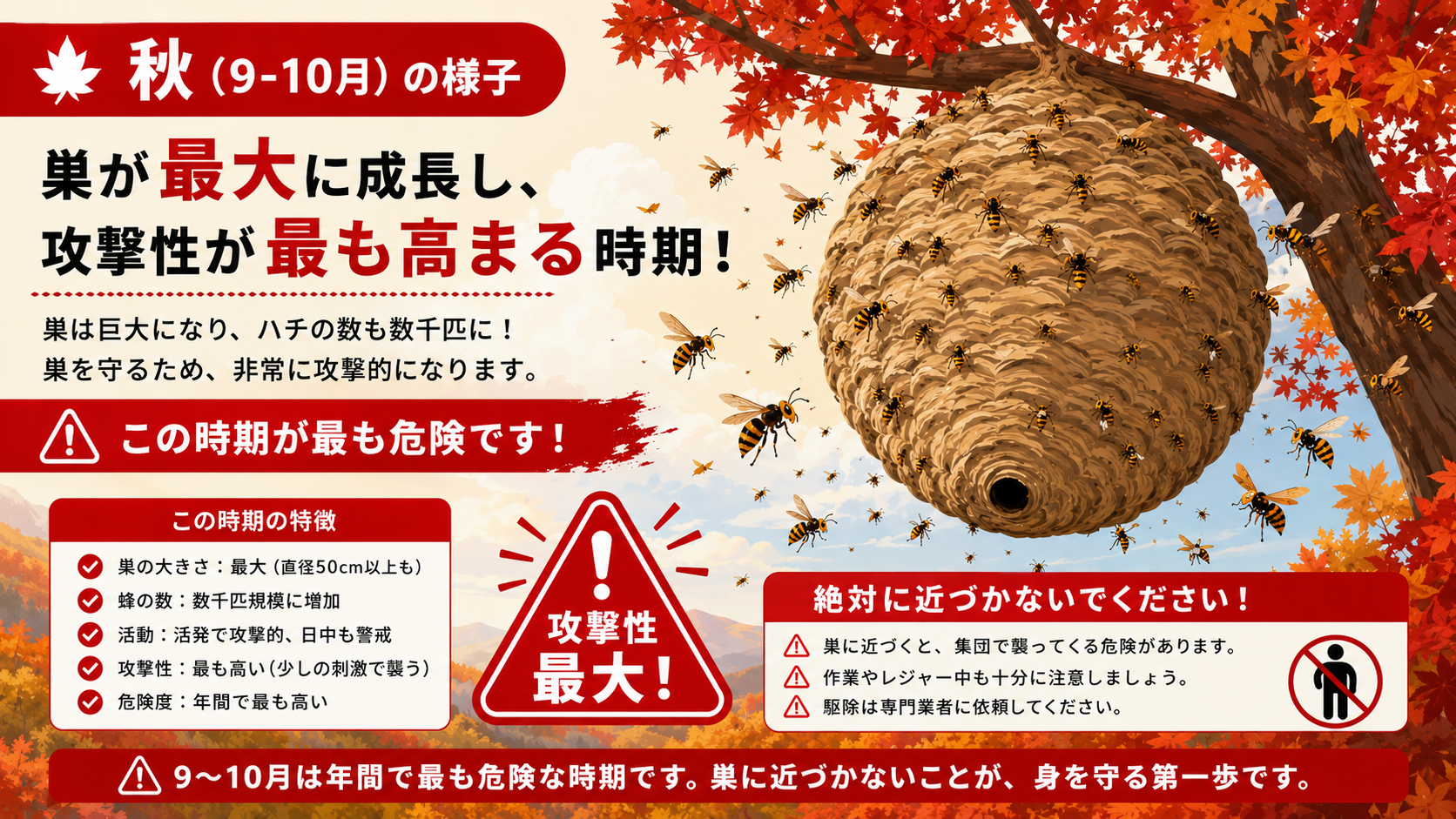 秋のスズメバチ最大・最凶期の危険性