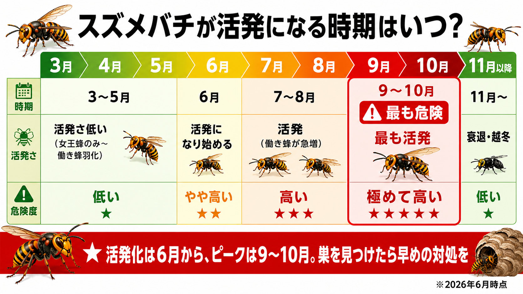 スズメバチが活発になる時期と月別の危険度